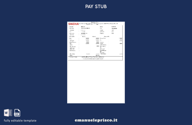 modello di busta paga Sneha Farms in stile verificato